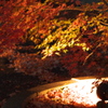 紅葉ライトアップ