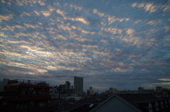 今日の空