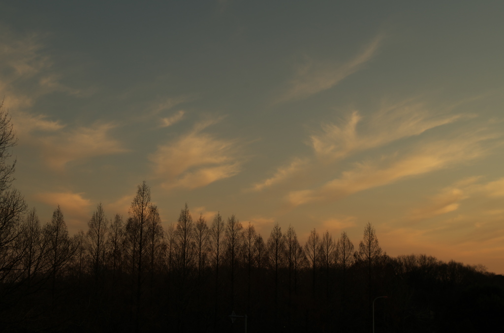 夕景