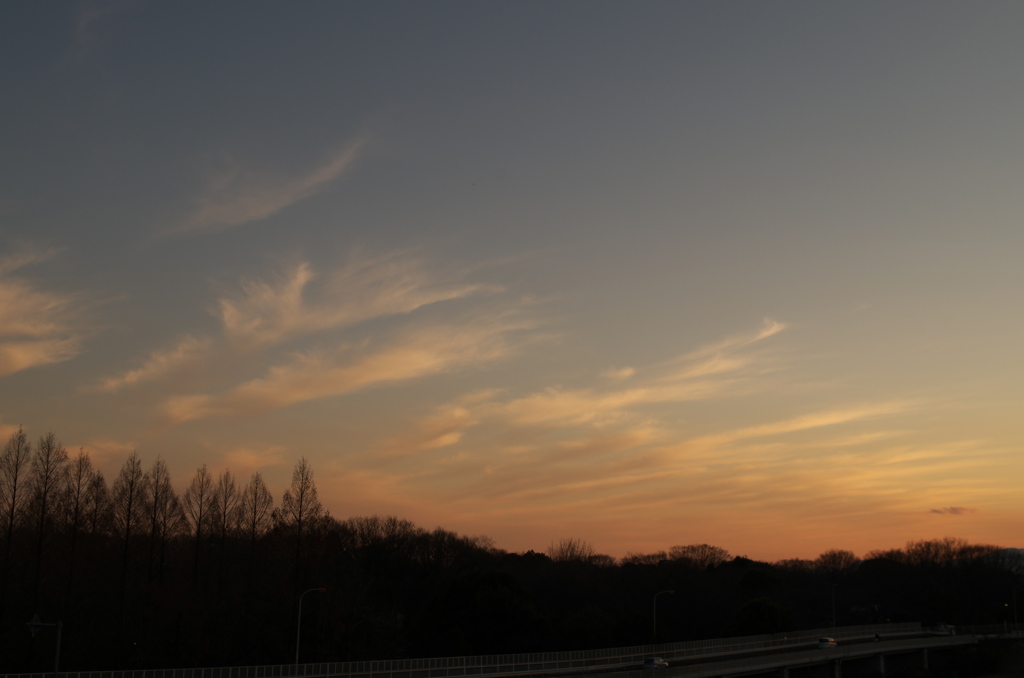 夕景