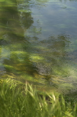 水面