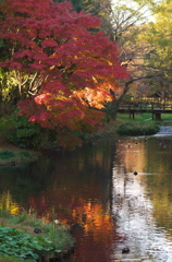 道保川公園