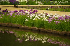 水無月園