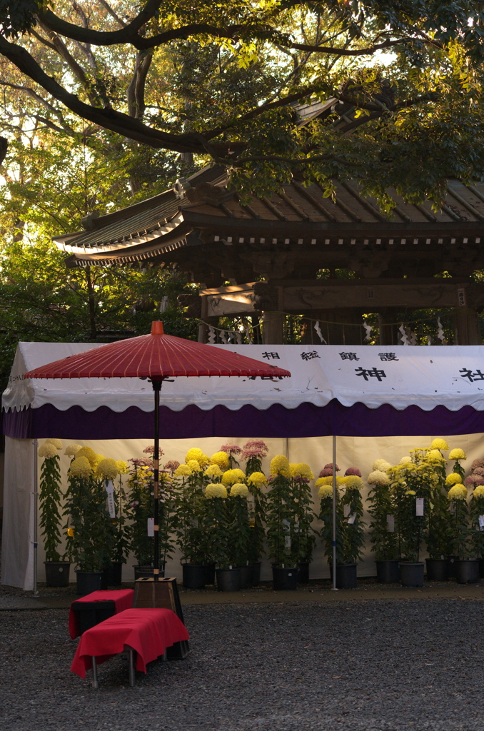 座間神社