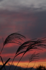 夕景