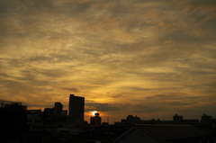 朝