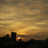 朝