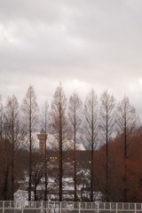 雪の日