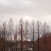 雪の日