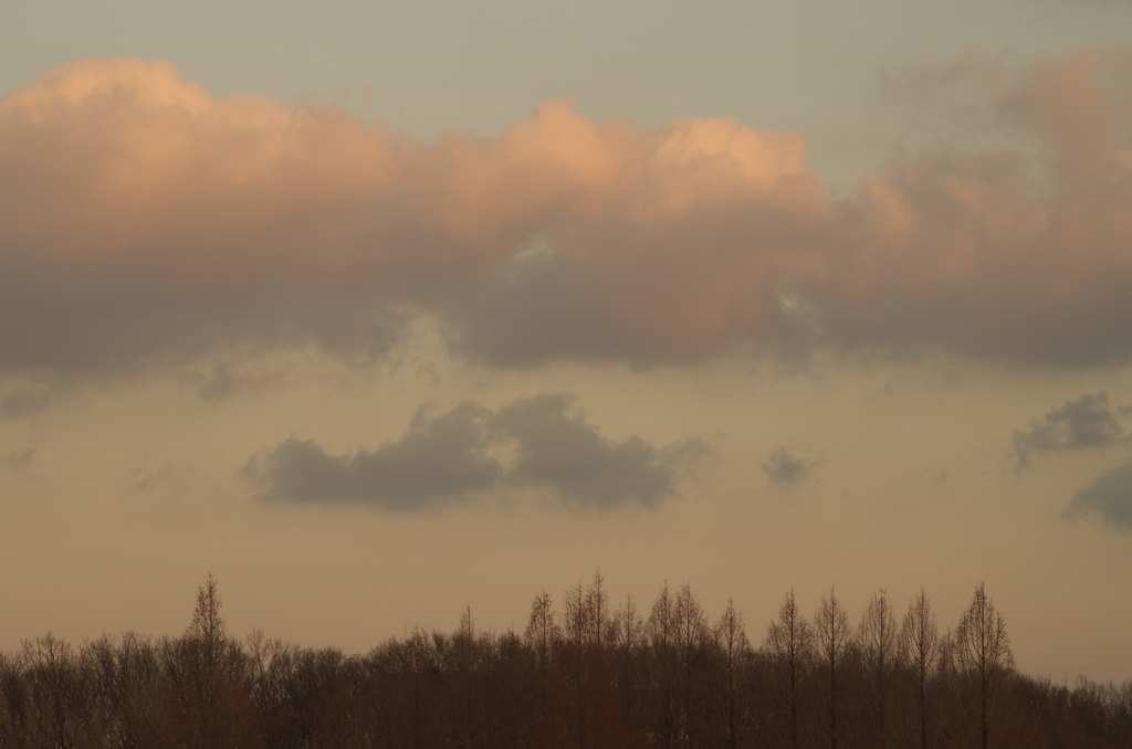 淡い空