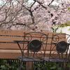 ベンチ