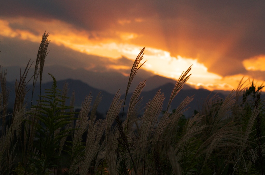 夕焼け