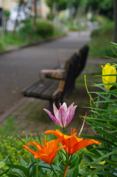 梅雨の合間の休息