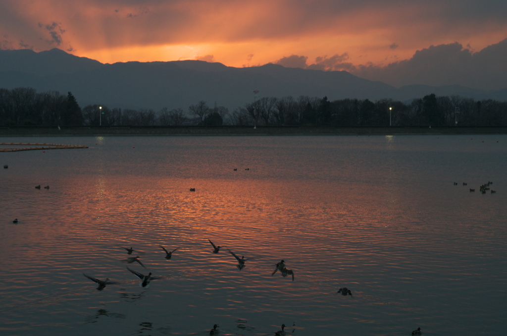 夕景