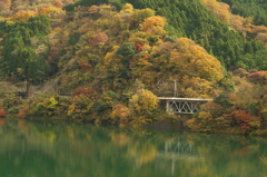 晩秋