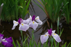 北山公園３