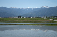 山と水田