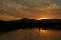 夕景