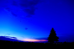 夕闇