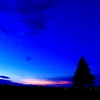 夕闇