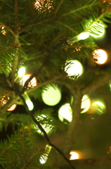 クリスマスツリーのイルミネーション