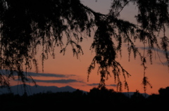 夕景