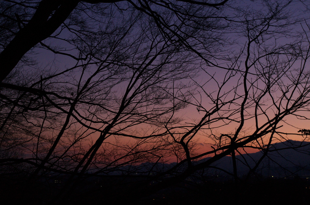 夕景
