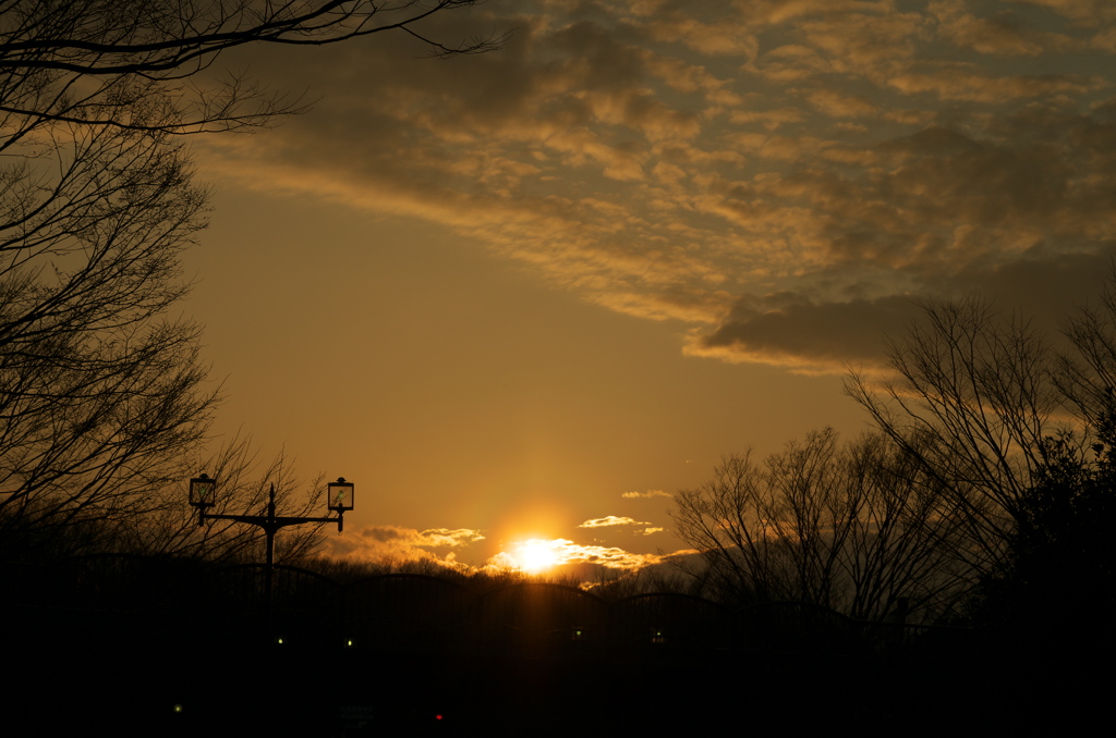 夕景
