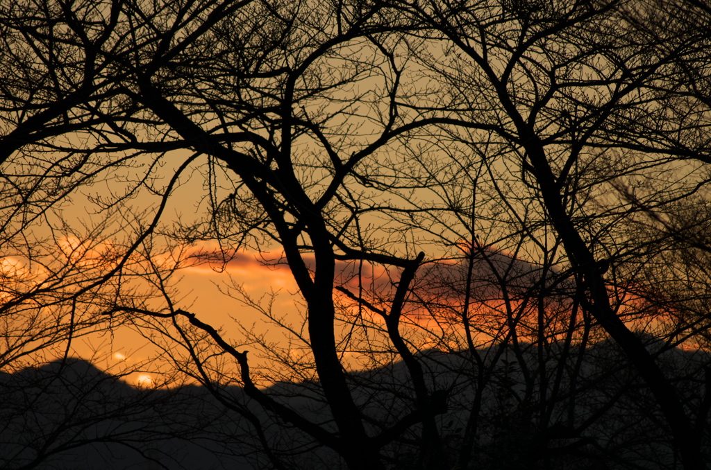 夕景