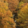 流れ