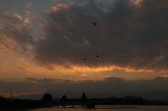 夕景
