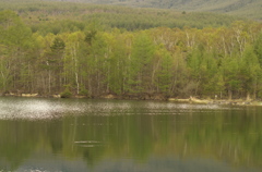 湖