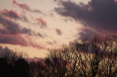 夕景