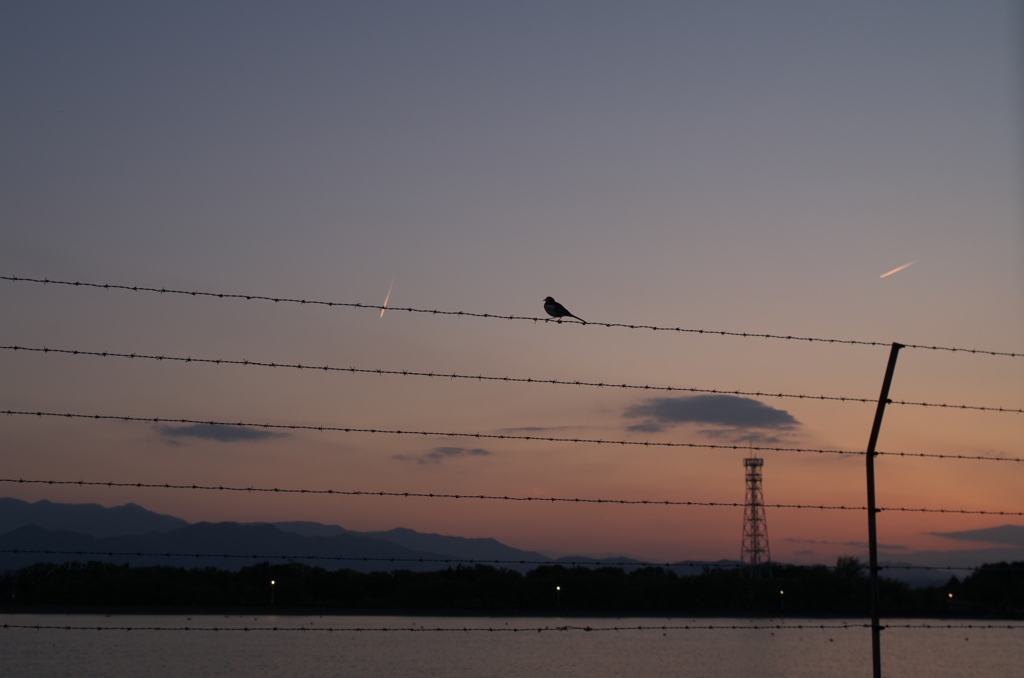 夕焼けの終わり