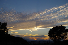 今日の空