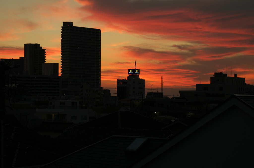 朝