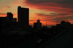 朝