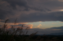 今日の空