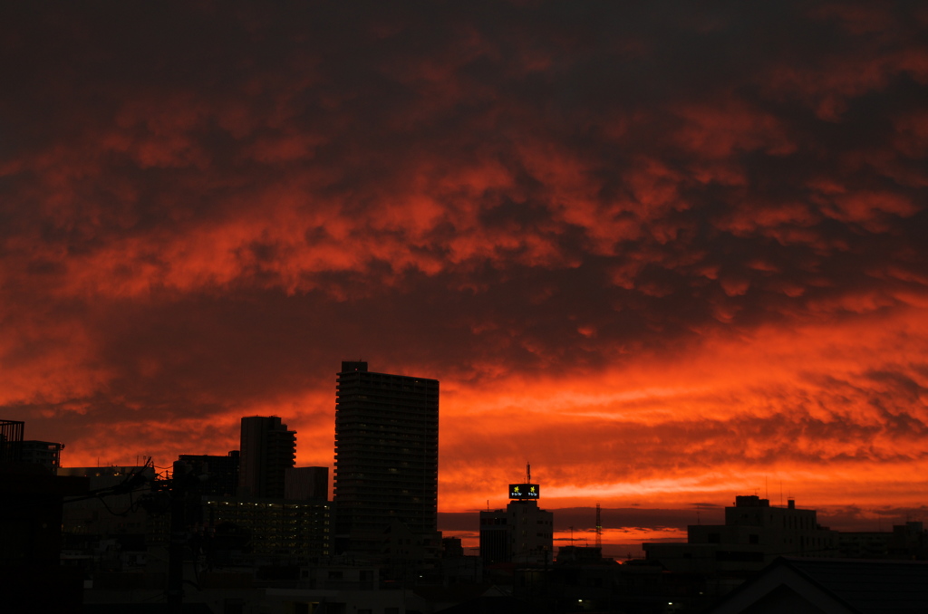 赤い空