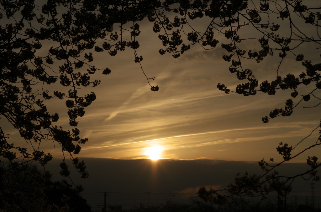 夕景