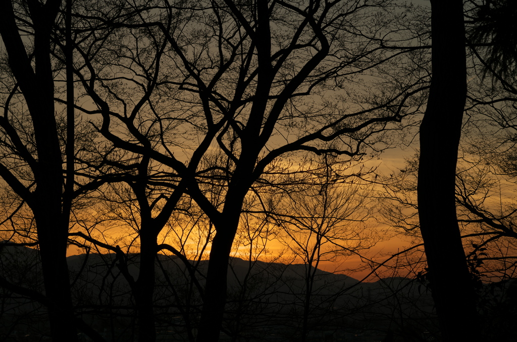 夕景