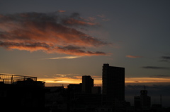 朝