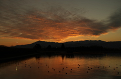 夕景