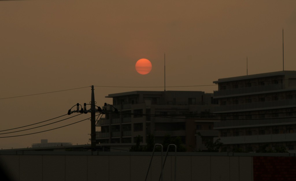 昨日の太陽