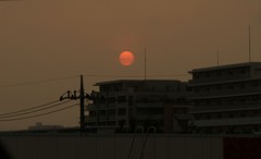 昨日の太陽