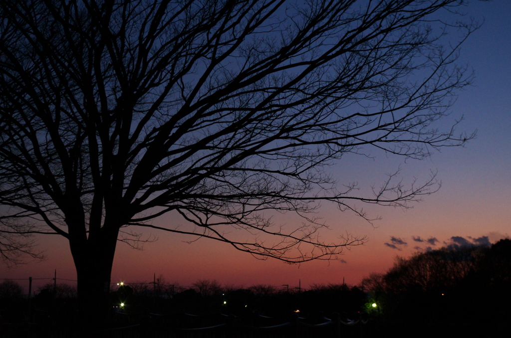 夕暮れ