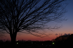 夕暮れ
