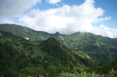 夏山