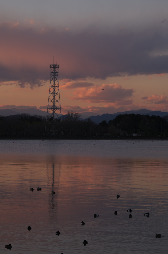 夕景