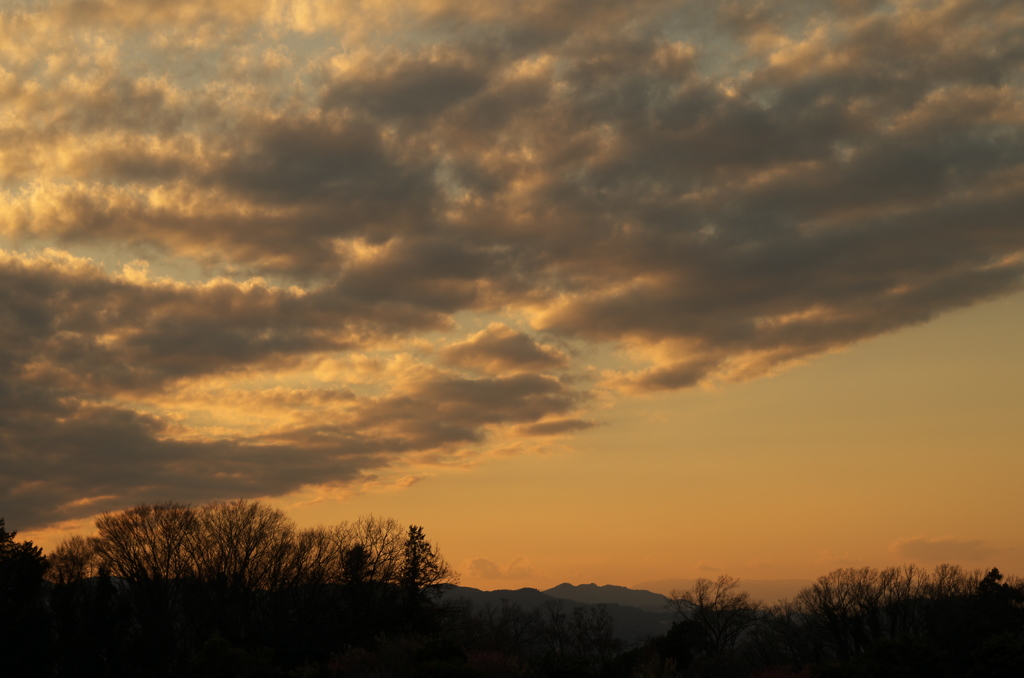 夕景